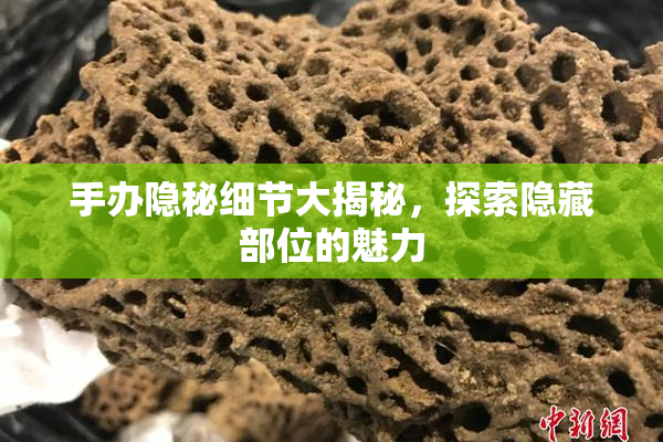手办隐秘细节大揭秘，探索隐藏部位的魅力