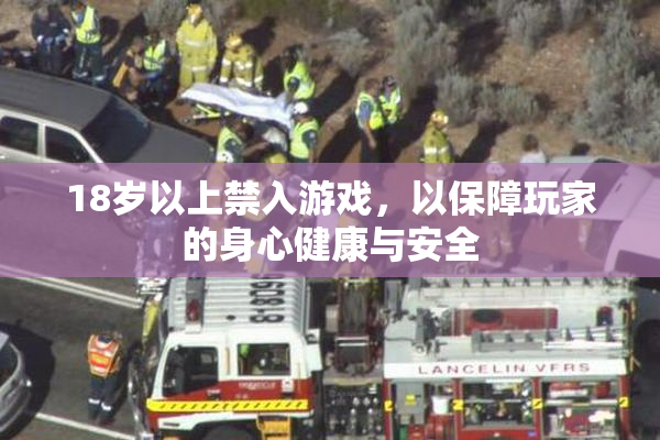 18岁以上禁入游戏，以保障玩家的身心健康与安全
