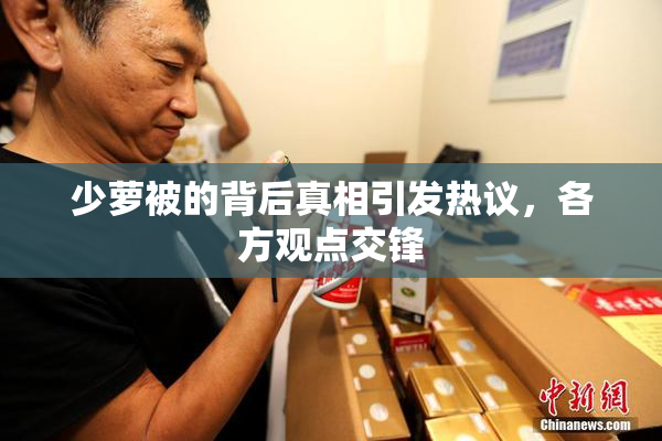 少萝被的背后真相引发热议，各方观点交锋