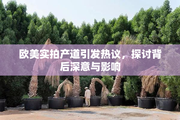 欧美实拍产道引发热议，探讨背后深意与影响