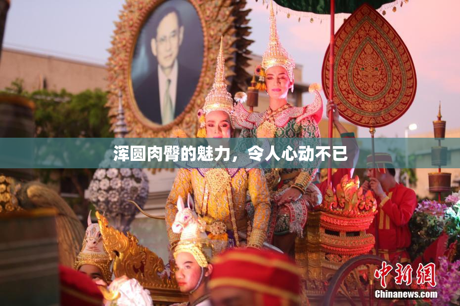 浑圆肉臀的魅力，令人心动不已