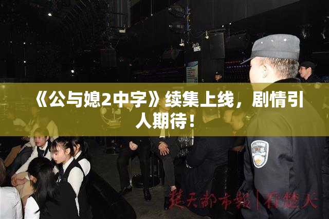 《公与媳2中字》续集上线，剧情引人期待！