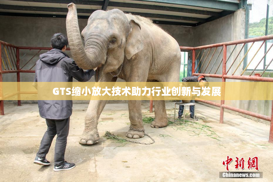 GTS缩小放大技术助力行业创新与发展