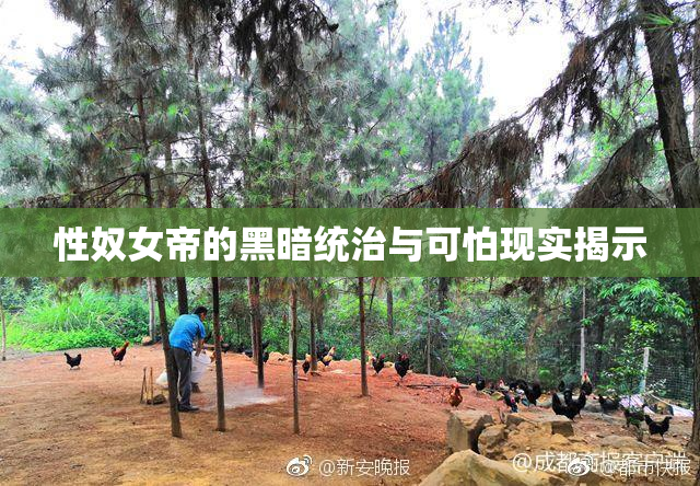 性奴女帝的黑暗统治与可怕现实揭示