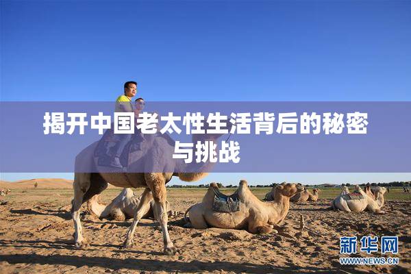 揭开中国老太性生活背后的秘密与挑战