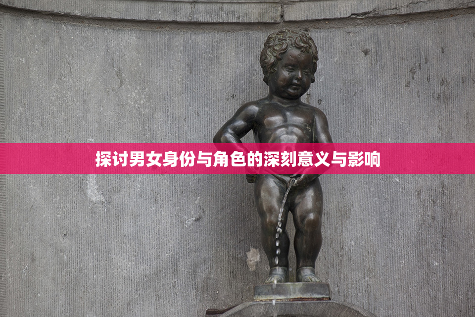 探讨男女身份与角色的深刻意义与影响