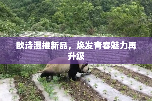 欧诗漫推新品，焕发青春魅力再升级