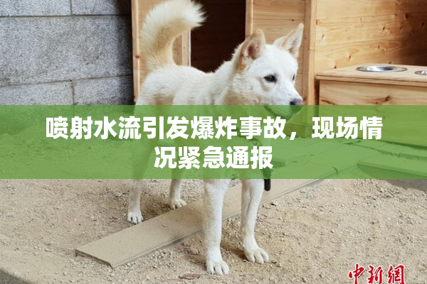 喷射水流引发爆炸事故，现场情况紧急通报