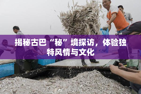 揭秘古巴“秘”境探访，体验独特风情与文化