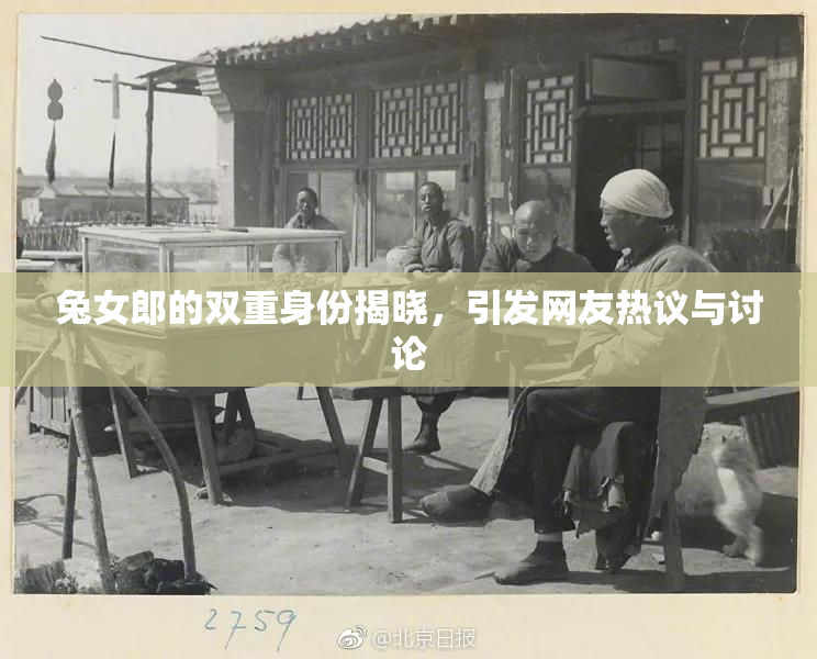 兔女郎的双重身份揭晓，引发网友热议与讨论