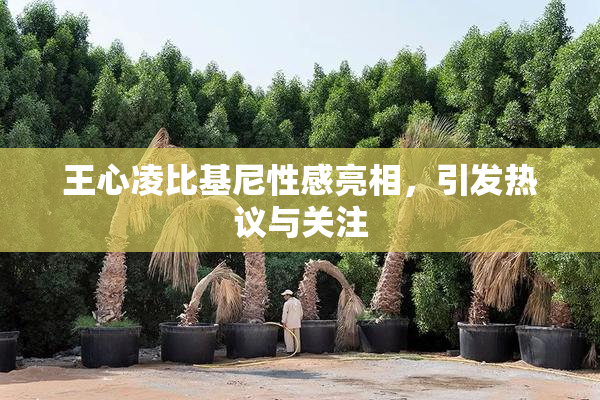 王心凌比基尼性感亮相，引发热议与关注
