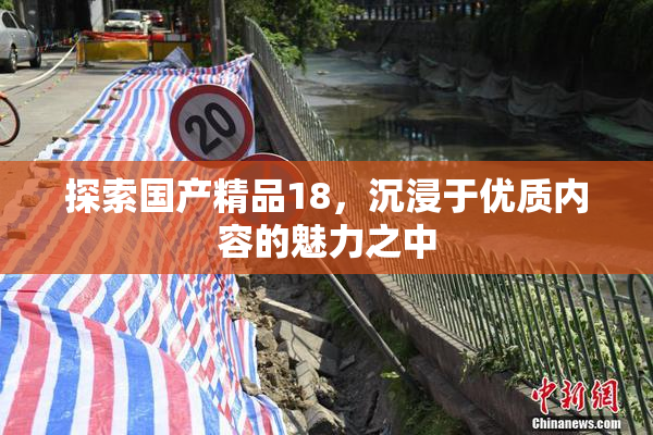 探索国产精品18，沉浸于优质内容的魅力之中