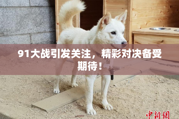 91大战引发关注，精彩对决备受期待！