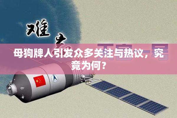 母狗牌人引发众多关注与热议，究竟为何？