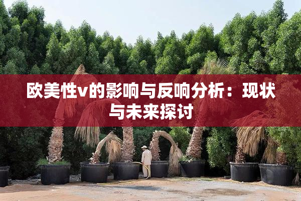 欧美性v的影响与反响分析：现状与未来探讨
