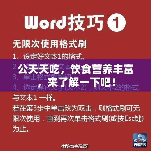 公天天吃，饮食营养丰富，来了解一下吧！
