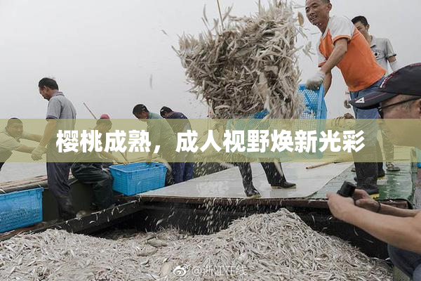 樱桃成熟，成人视野焕新光彩