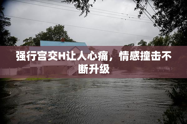 强行宫交H让人心痛，情感撞击不断升级