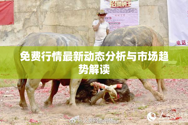 免费行情最新动态分析与市场趋势解读