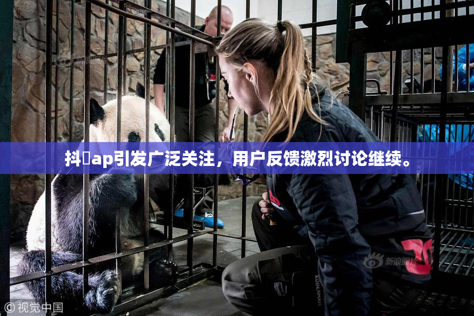 抖抈ap引发广泛关注，用户反馈激烈讨论继续。