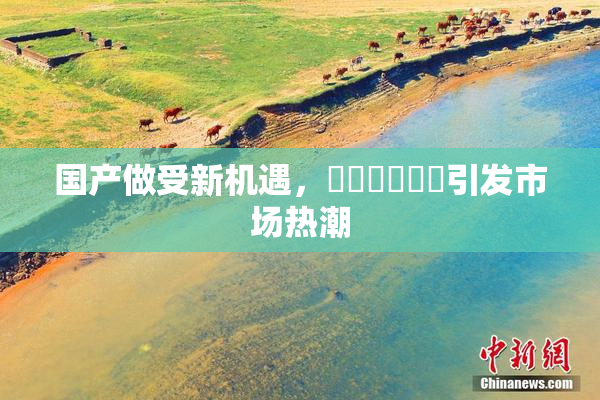 国产做受新机遇，❌‌❌‌❌‌引发市场热潮