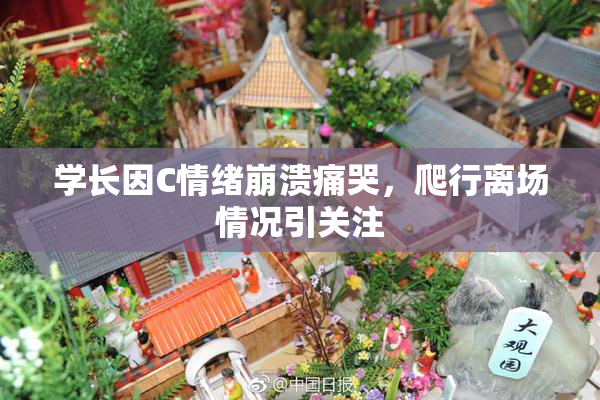 学长因C情绪崩溃痛哭，爬行离场情况引关注