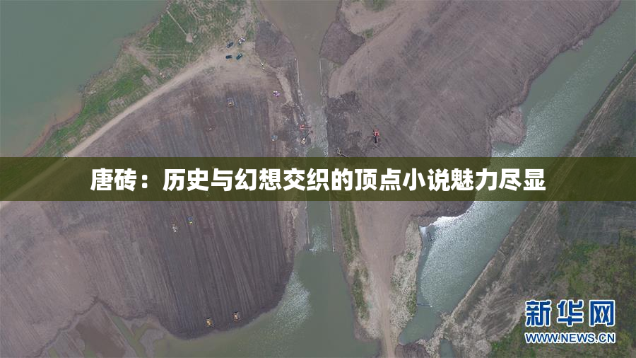 唐砖：历史与幻想交织的顶点小说魅力尽显