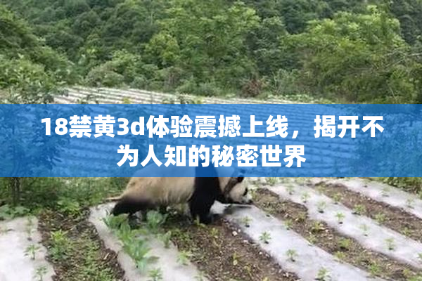 18禁黄3d体验震撼上线，揭开不为人知的秘密世界