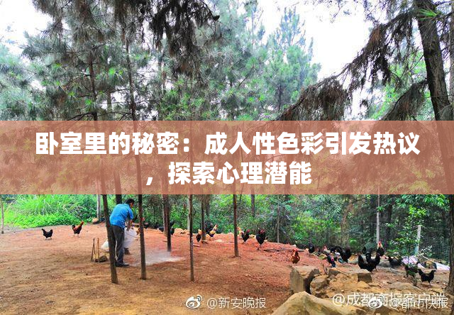 卧室里的秘密：成人性色彩引发热议，探索心理潜能