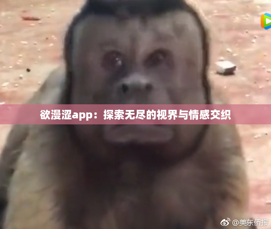 欲漫涩app：探索无尽的视界与情感交织