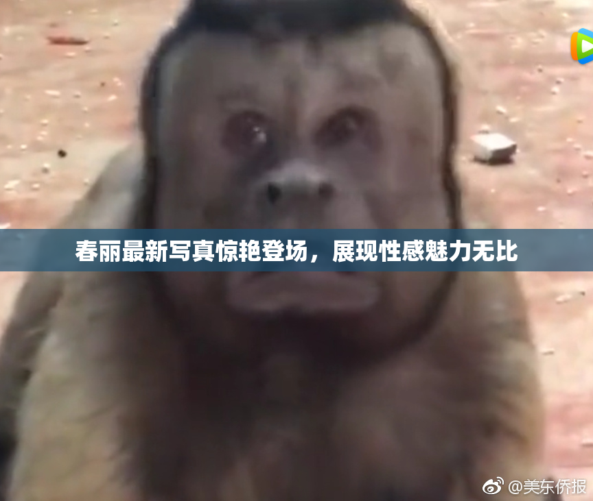 春丽最新写真惊艳登场，展现性感魅力无比