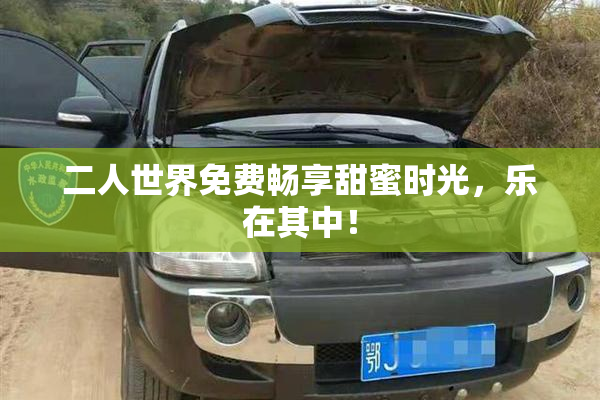 二人世界免费畅享甜蜜时光，乐在其中！