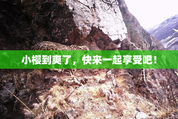 小樱到爽了，快来一起享受吧！