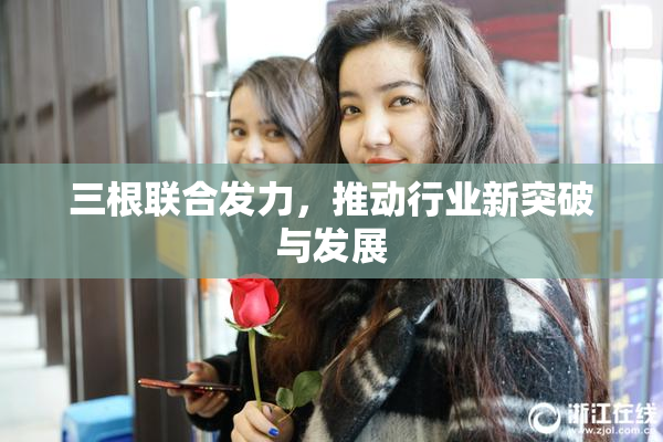 三根联合发力，推动行业新突破与发展