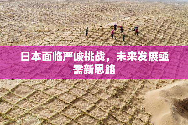 日本面临严峻挑战，未来发展亟需新思路