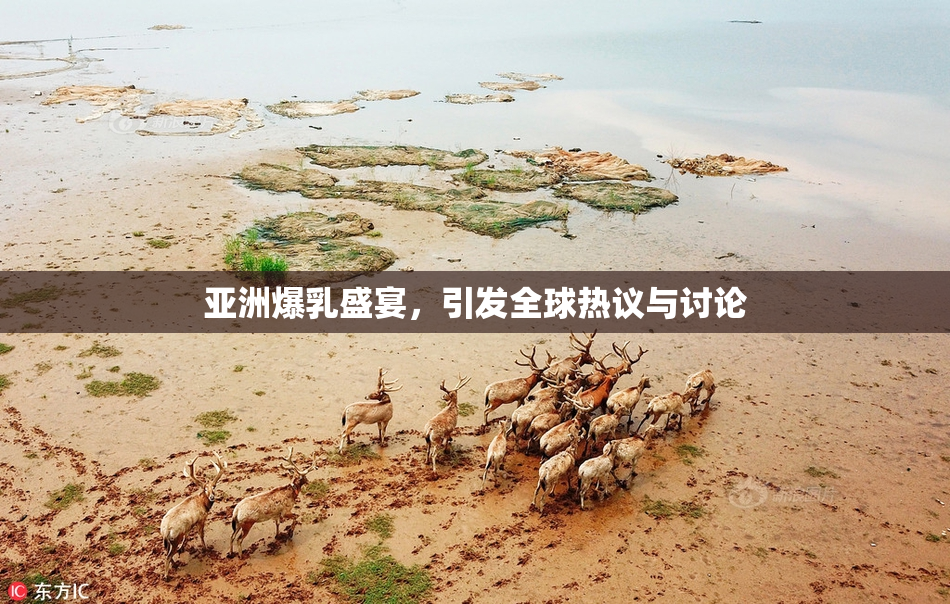 亚洲爆乳盛宴，引发全球热议与讨论