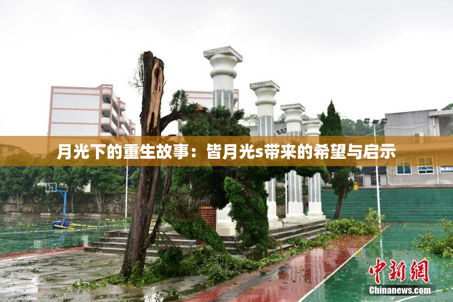 月光下的重生故事：皆月光s带来的希望与启示