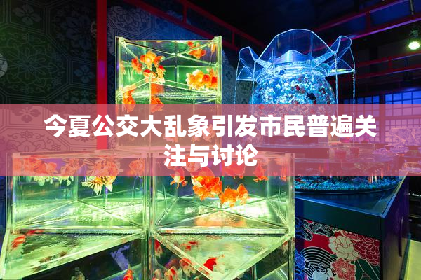 今夏公交大乱象引发市民普遍关注与讨论