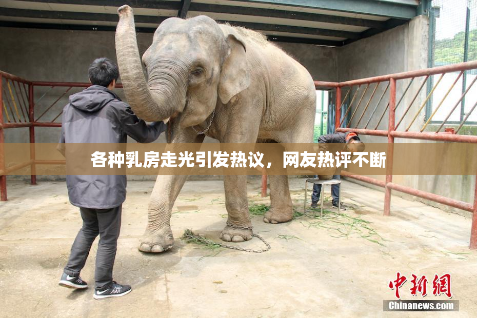 各种乳房走光引发热议，网友热评不断