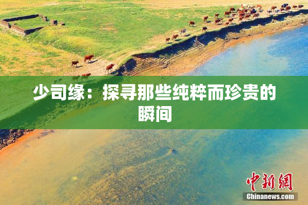 少司缘：探寻那些纯粹而珍贵的瞬间
