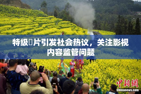 特级婬片引发社会热议，关注影视内容监管问题