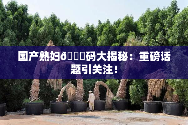 国产熟妇🈚码大揭秘：重磅话题引关注！