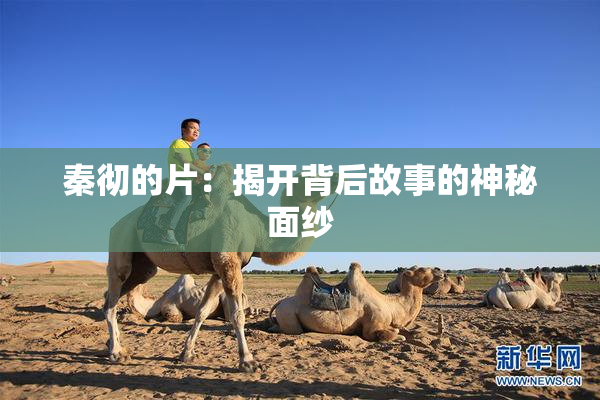 秦彻的片：揭开背后故事的神秘面纱