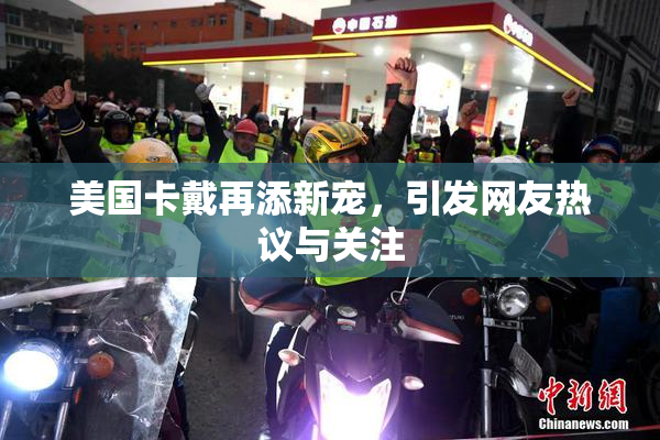 美国卡戴再添新宠，引发网友热议与关注