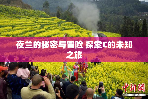 夜兰的秘密与冒险 探索C的未知之旅