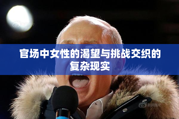 官场中女性的渴望与挑战交织的复杂现实