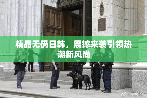 精品无码日韩，震撼来袭引领热潮新风尚