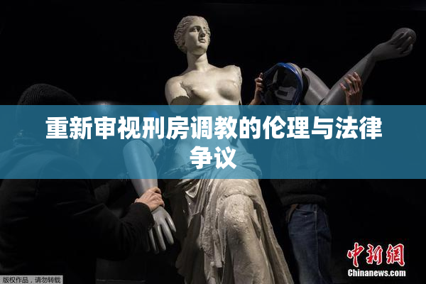 重新审视刑房调教的伦理与法律争议