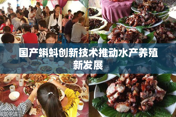 国产蝌蚪创新技术推动水产养殖新发展