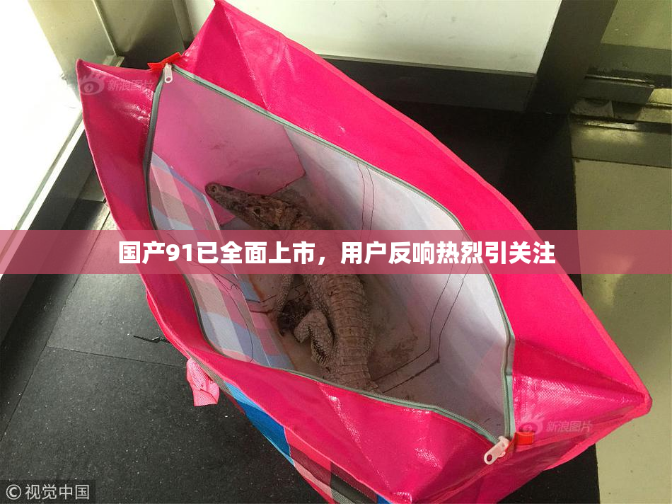 国产91已全面上市，用户反响热烈引关注